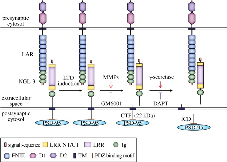 Figure 4.