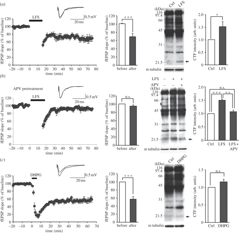 Figure 2.