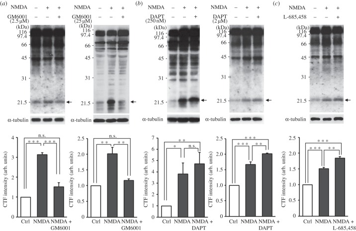 Figure 3.