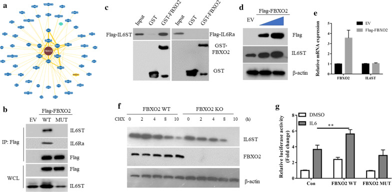 Fig. 4