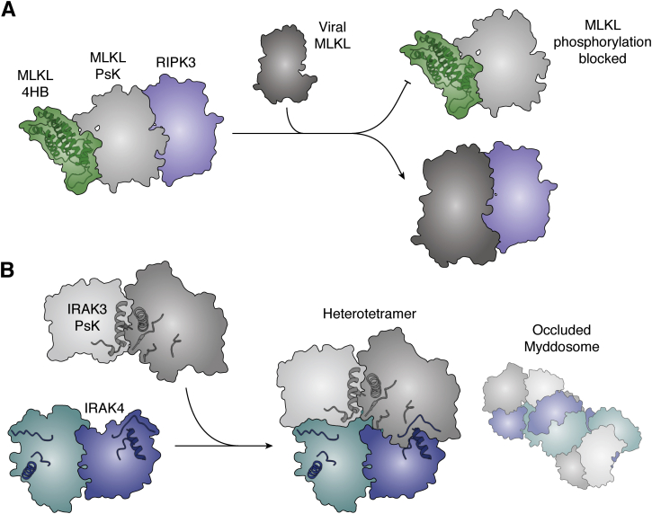 Figure 6