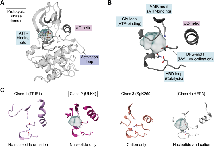 Figure 1