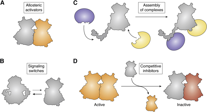 Figure 2