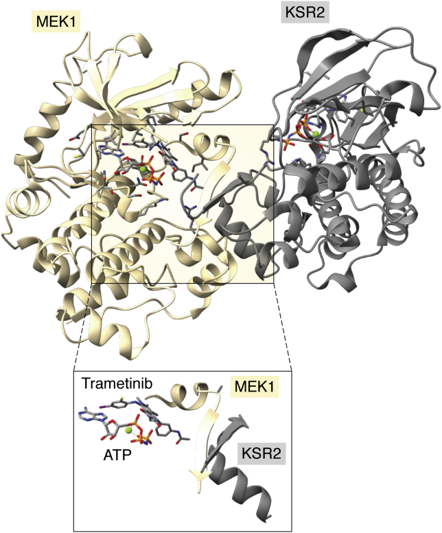 Figure 7