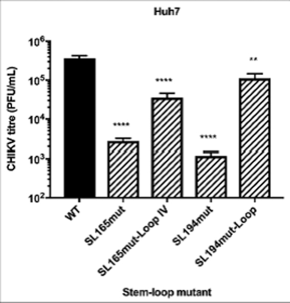 Figure 11.