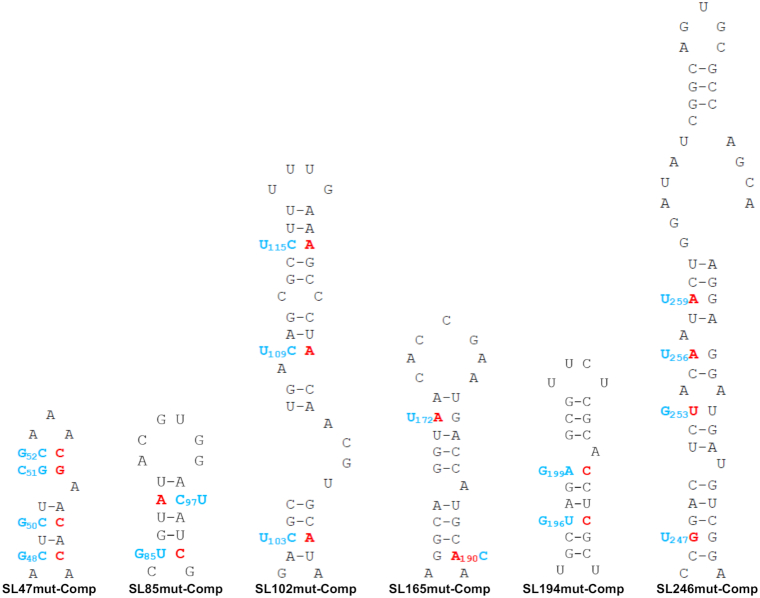 Figure 6.