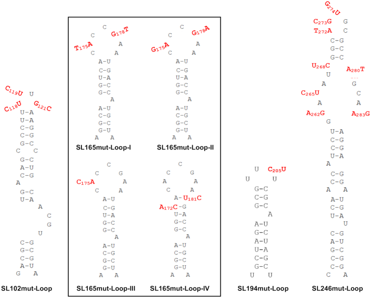 Figure 9.