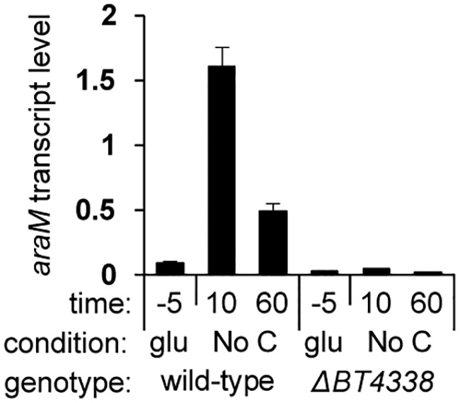 A Master Regulator of Bacteroides thetaiotaomicron Gut Colonization ...