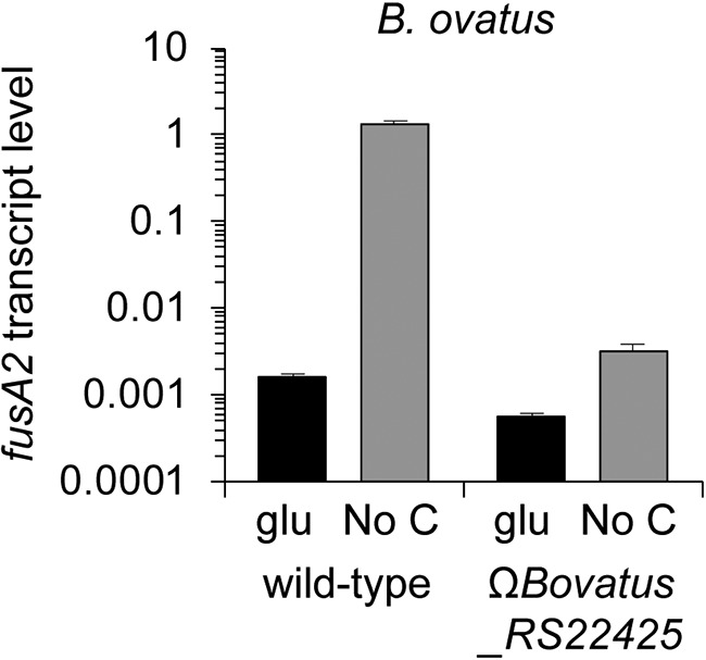 FIG 6