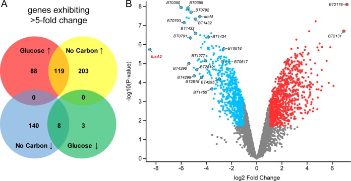 FIG 2