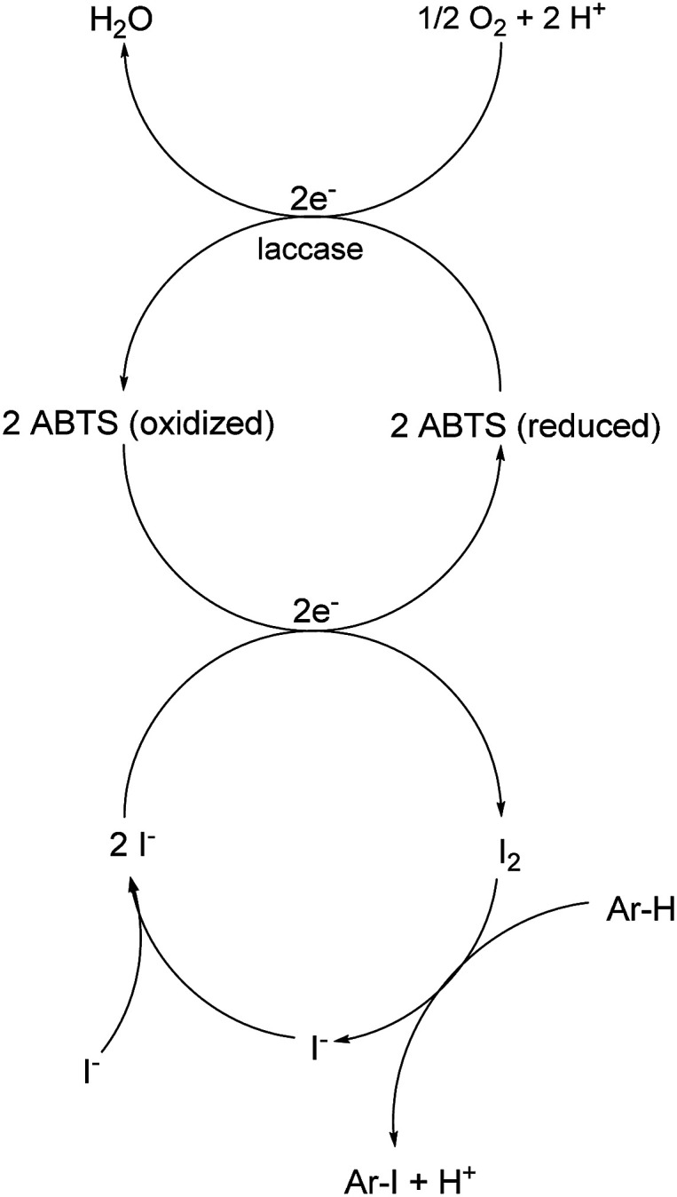 Scheme 3