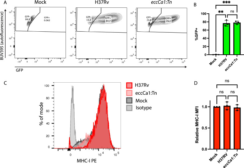 Figure 3—figure supplement 1.