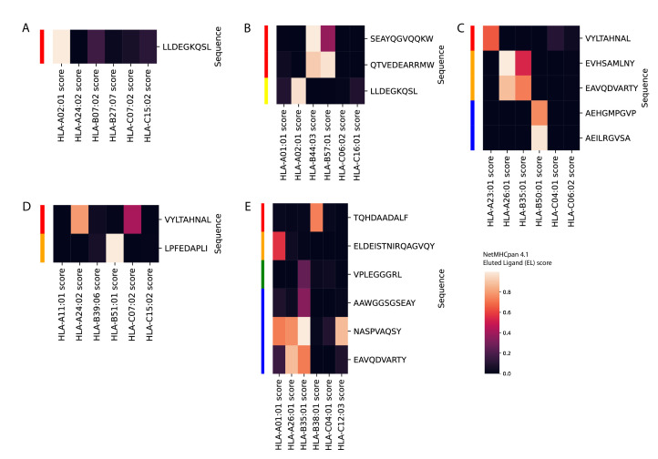 Figure 1—figure supplement 3.