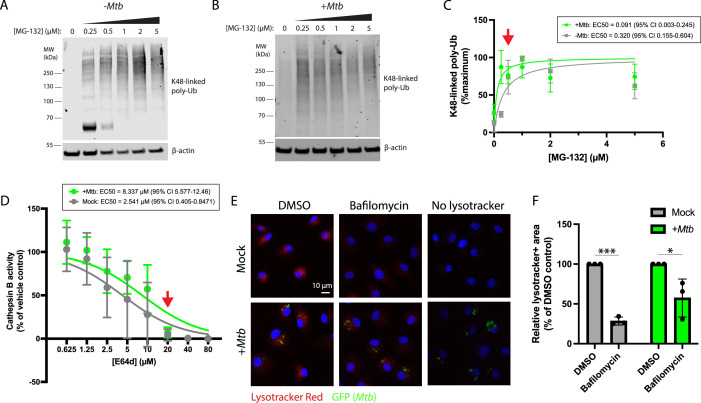 Figure 4—figure supplement 1.