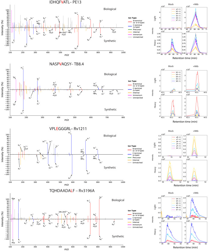 Figure 1—figure supplement 8.