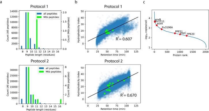 Figure 1—figure supplement 1.