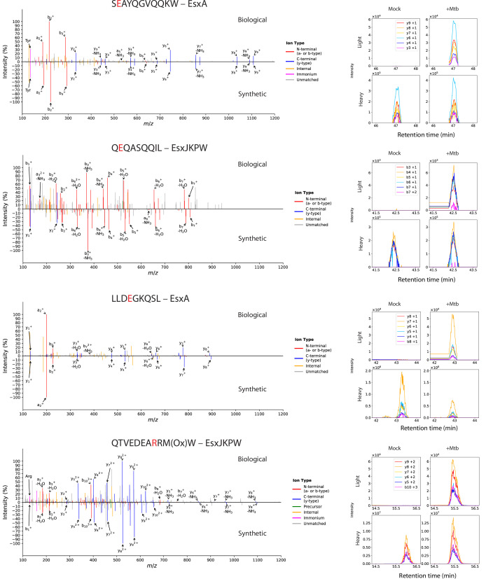 Figure 1—figure supplement 5.