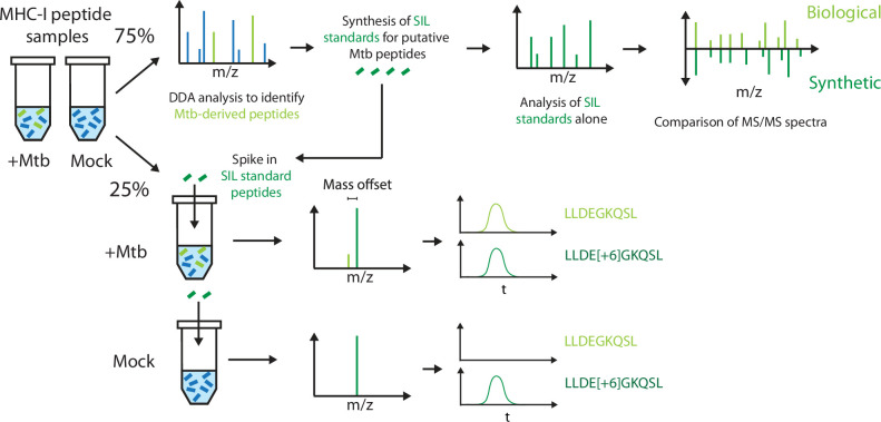 Figure 1—figure supplement 4.