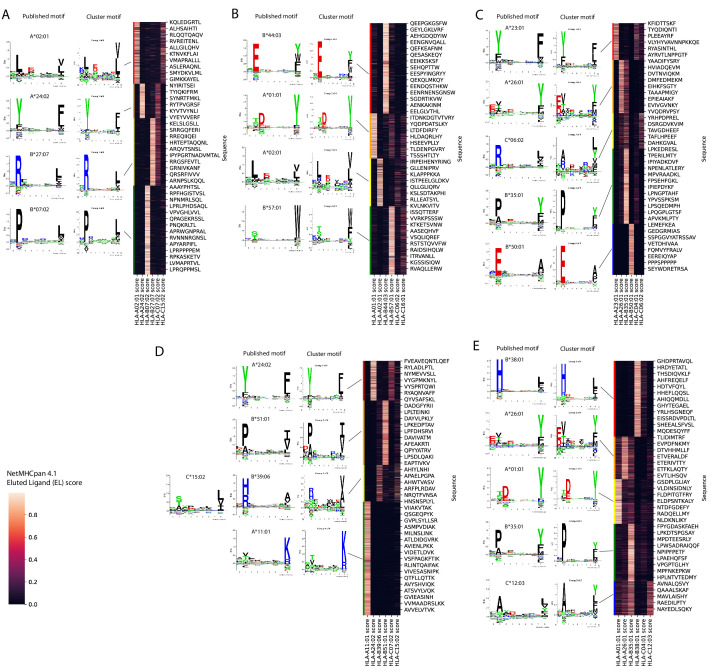 Figure 1—figure supplement 2.