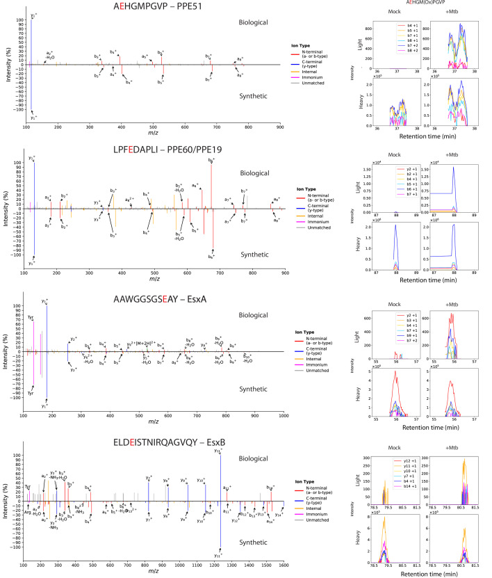 Figure 1—figure supplement 7.