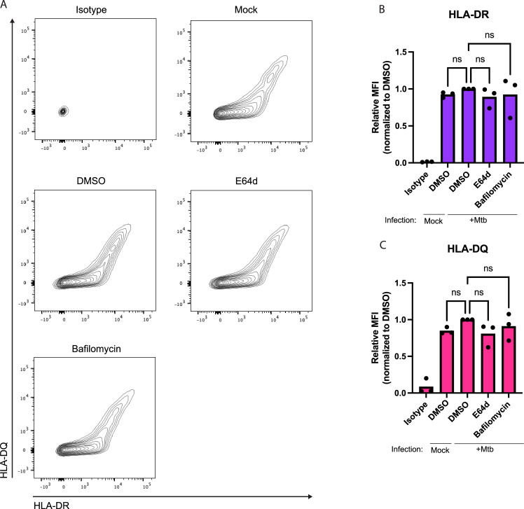 Figure 4—figure supplement 4.