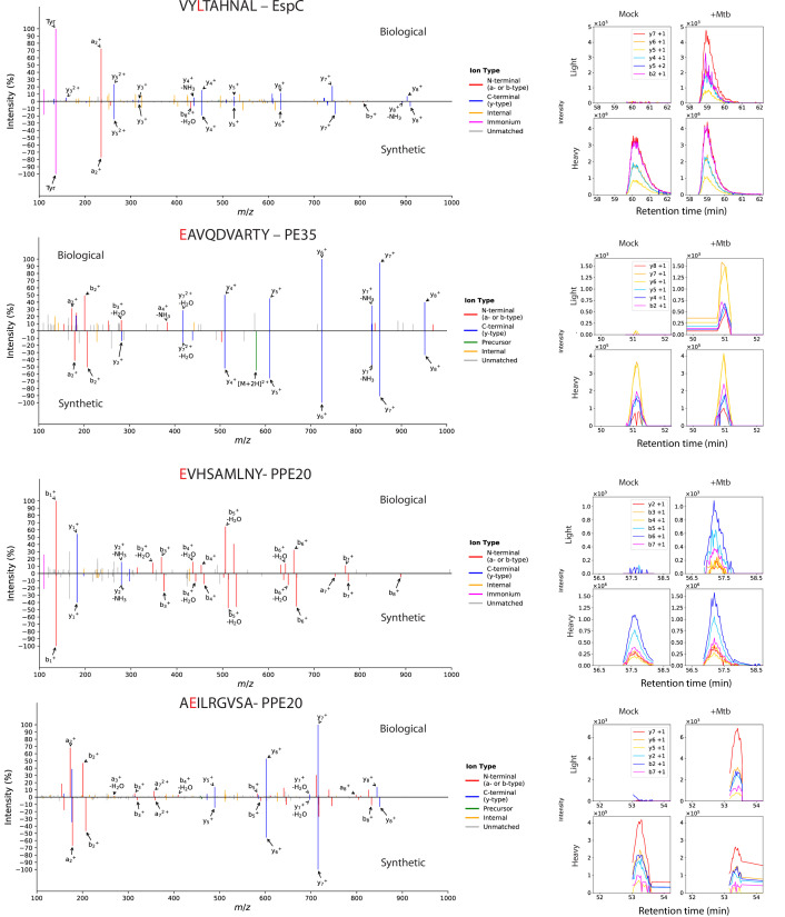 Figure 1—figure supplement 6.