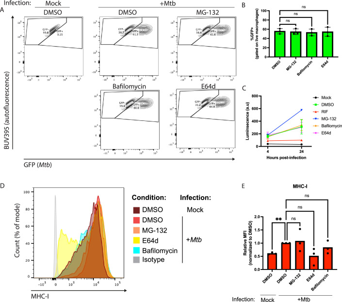 Figure 4—figure supplement 3.