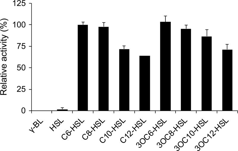 Fig 6