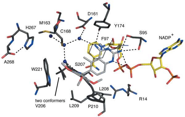 Figure 6