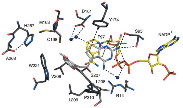 Figure 7