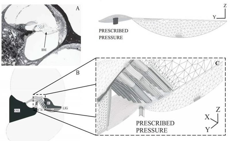 Figure 5.