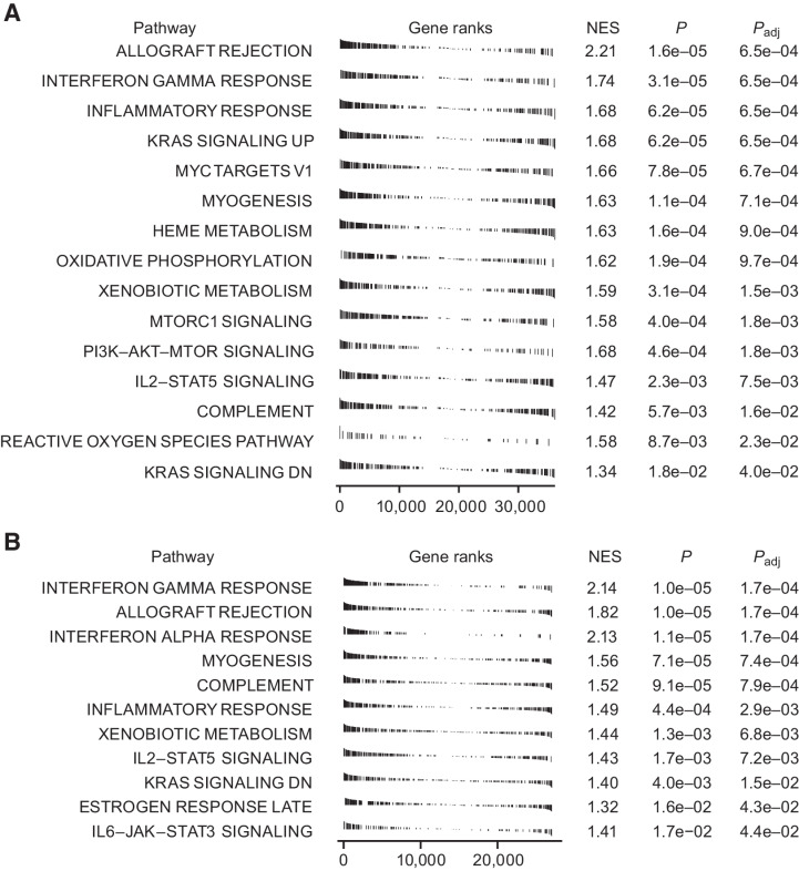 Figure 4. A, Gene sets enriched in tumor tissue in response to dosing with ivuxolimab from eight paired biopsies of patients dosed with ≥ 1.5 mg/kg indicated that gene sets associated with immune activation and inflammation were among those most enriched (higher positive normalized enrichment score; NES) with the lowest adjusted P values. Biopsies were collected at least 2 weeks from last dose. B, Gene sets associated with immune activation were among the most enriched in a CT26 syngeneic mouse tumor model. Mice were inoculated subcutaneously with 1 × 105 CT26 cells in 0.1 mL of phosphate-buffered saline (PBS). When tumor volume reached 70 to 100 mm3, mice were randomized to the anti-OX40 treatment group or the isotype control antibody group.