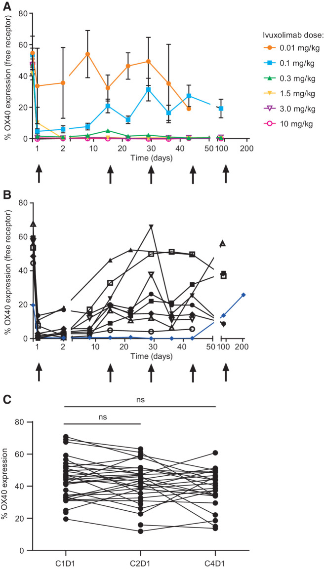 Figure 1. A, Peripheral receptor occupancy measurement demonstrates dose-dependent changes in free OX40 receptor levels. Peripheral blood samples collected at baseline; weekly through cycle 4, day 1; and at cycle 7, day 1 were stained with a fluorescent-labeled competitive anti-OX40 antibody. These data represent the percent of CD4 central memory T cells expressing the OX40 receptor pre- and posttreatment at each dose level. B, Receptor saturation for the dosing duration. Full receptor occupancy (blue line) was observed in one patient in the 0.1 mg/kg cohort who had a PR. C, Total OX40 levels were generally unchanged in the periphery following dosing with ivuxolimab.