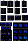 Extended Data Fig. 12