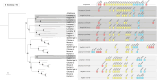 Extended Data Fig. 8