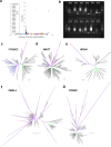 Extended Data Fig. 11