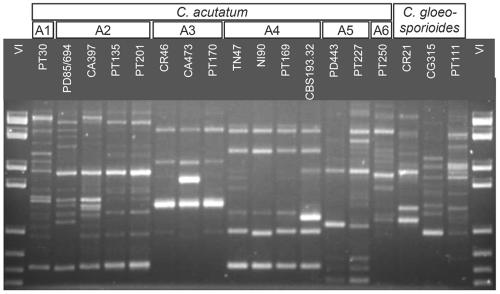 FIG. 2.