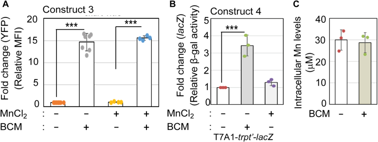 Figure 3