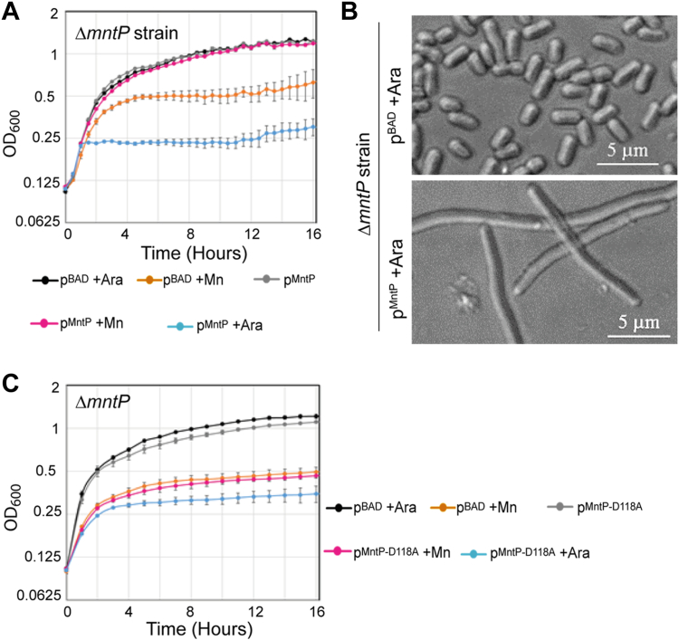 Figure 6