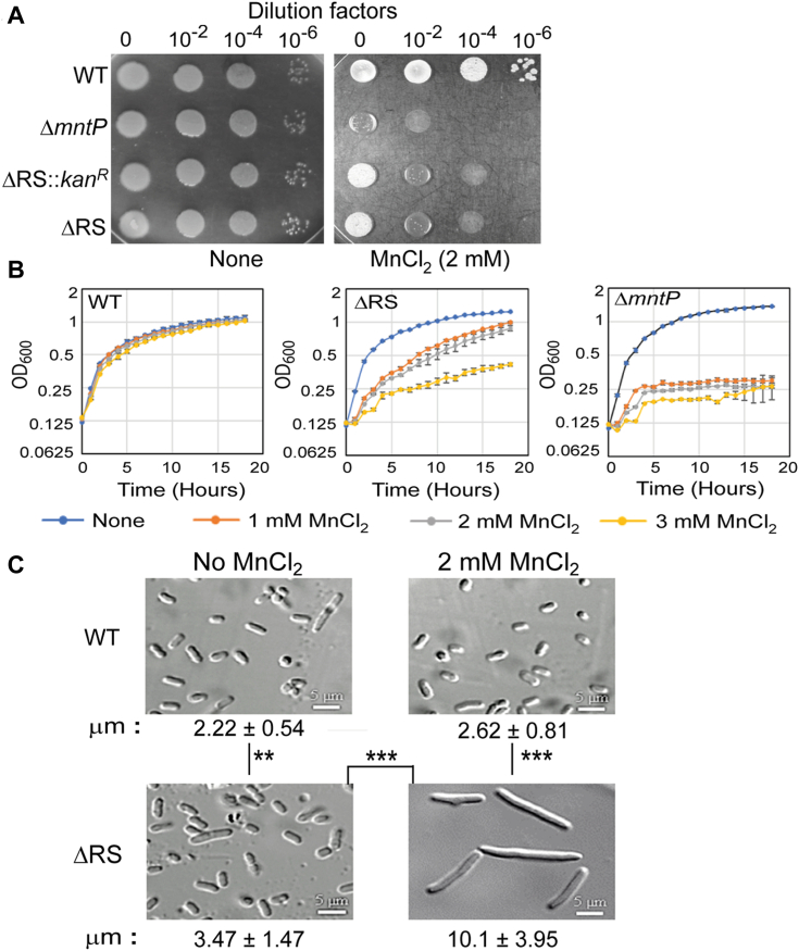 Figure 4