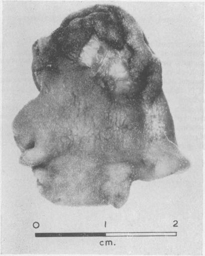 FIG. 4c