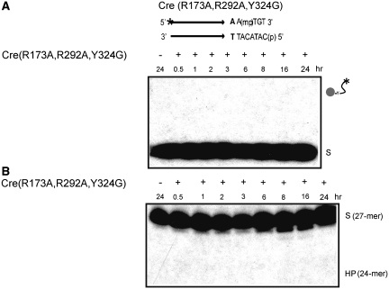 Figure 6.