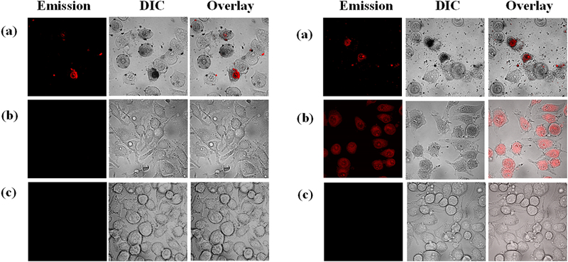 Figure 11.