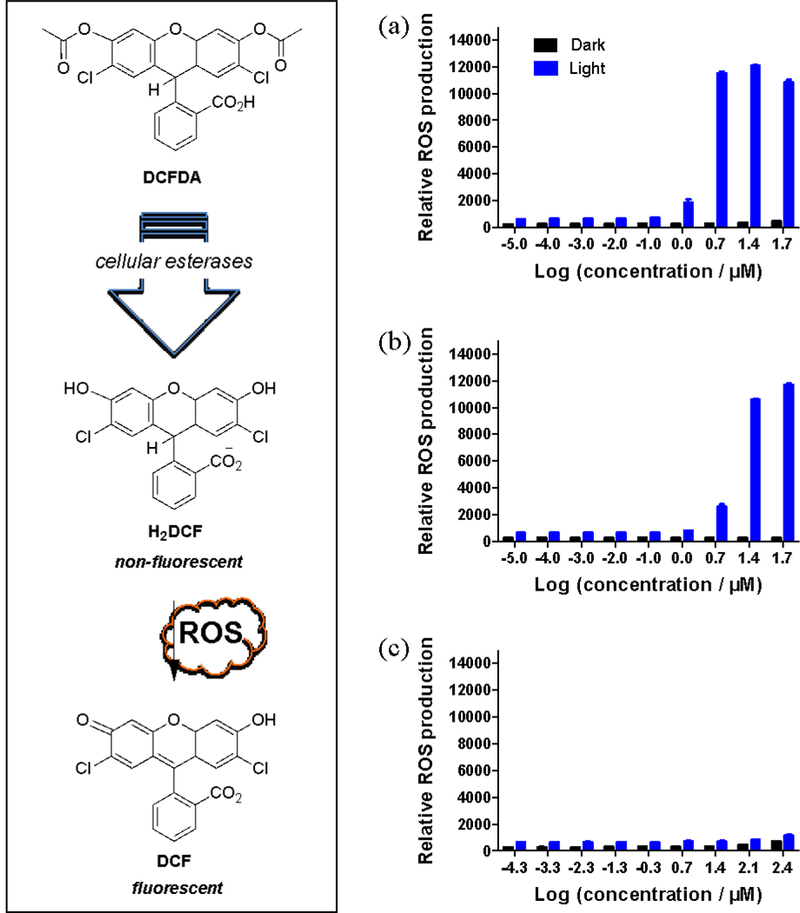 Figure 12.