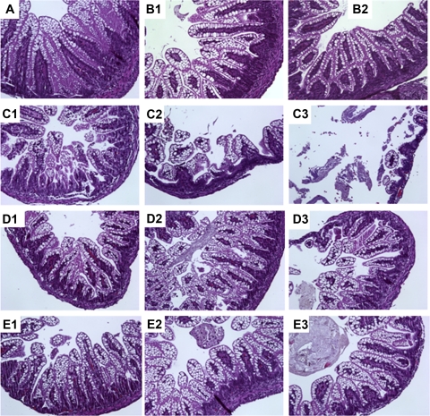 Fig. 3.