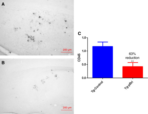 Figure 20