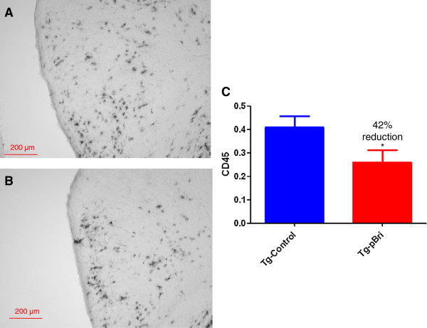 Figure 19