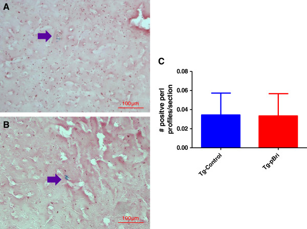 Figure 21