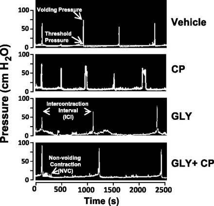 Fig. 8.