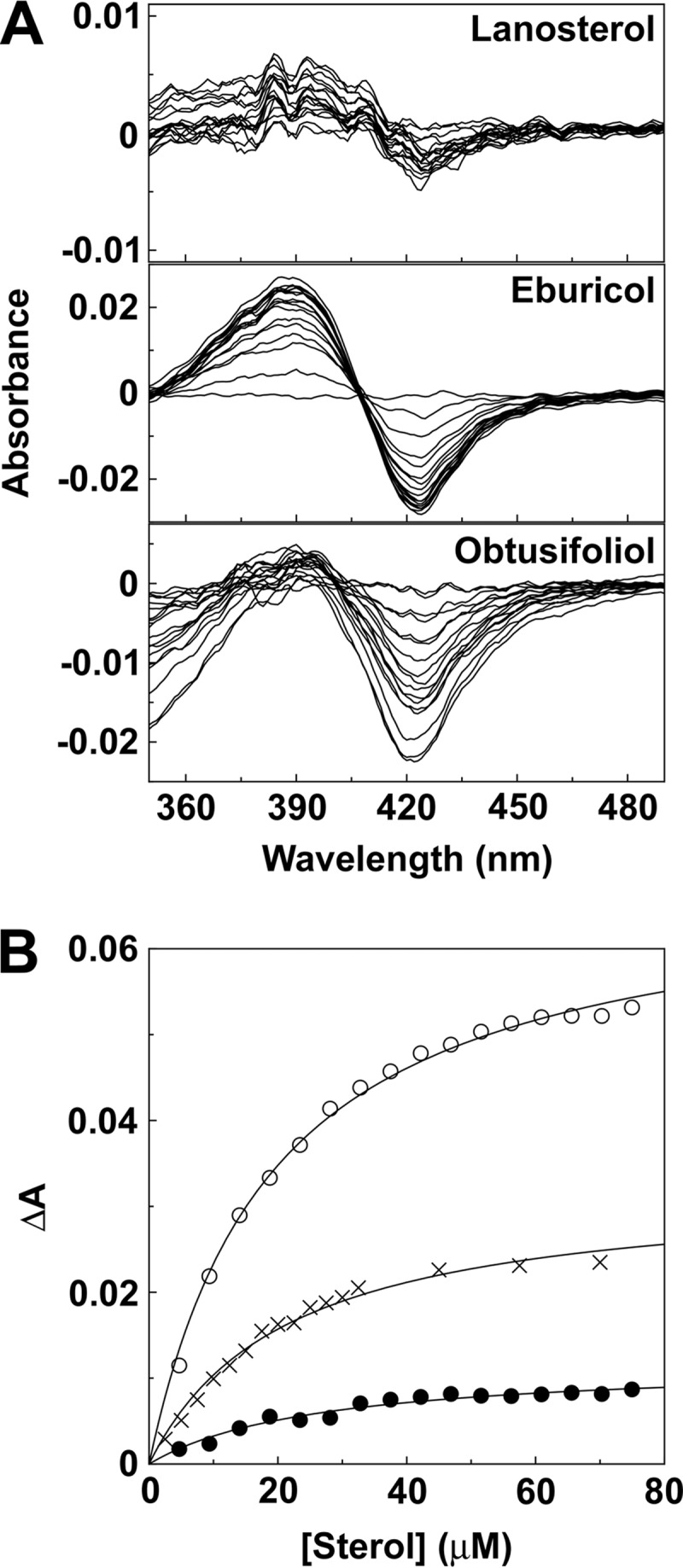 FIG 2